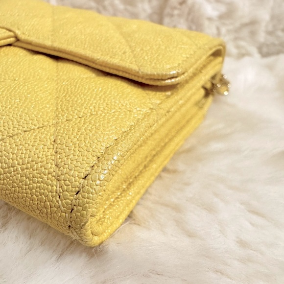 CHANEL Iridescent Caviar Quilted Wallet on Chain Flap Bag - Picture 8 of 15